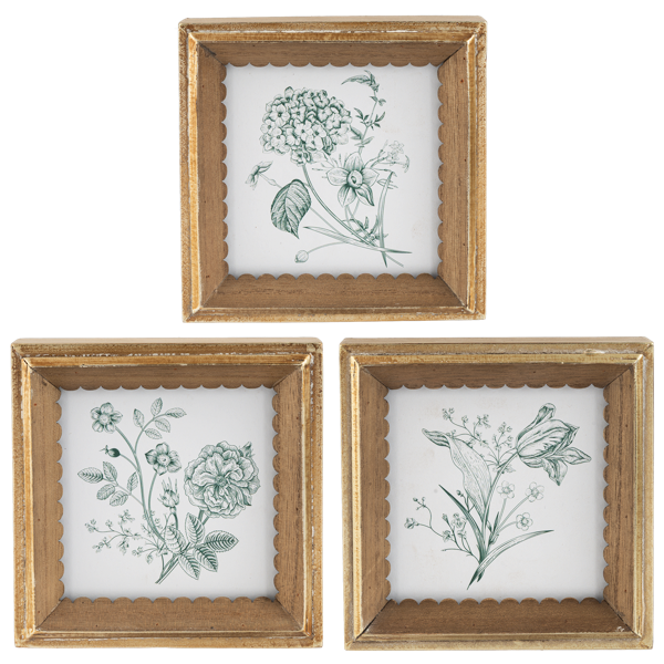 Botanical Framed Print Mini - 3 Options