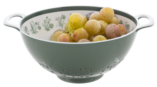 Green Botanicals Berry Bowl - Melamine
