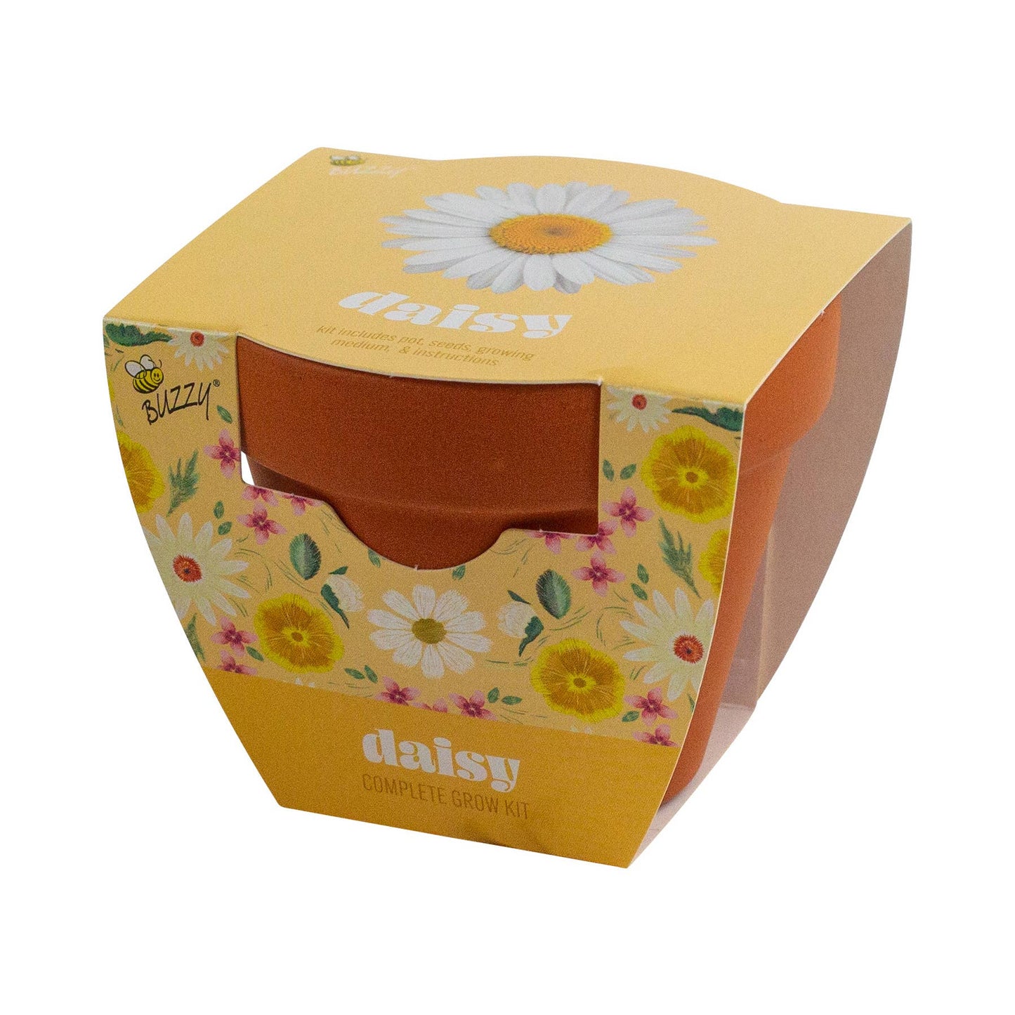 Daisy Grow Starter Kit with 3.3" Terracotta Pot