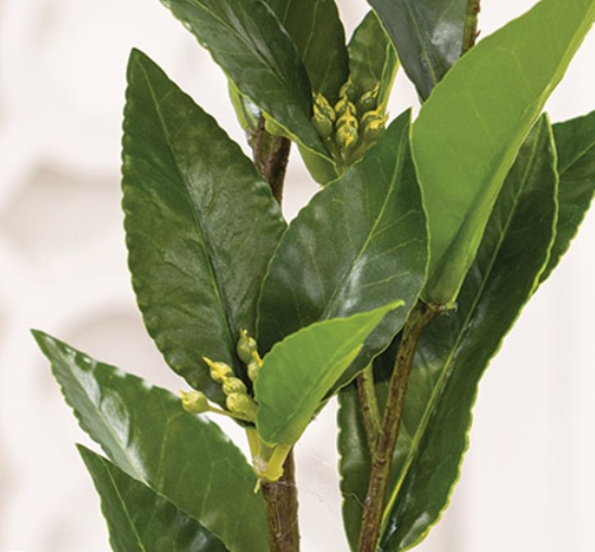Lush Green Laurel Spray - 27.5"