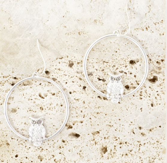 Hootie Owl Circle Dangle Earrings - Gold or Silver Tone