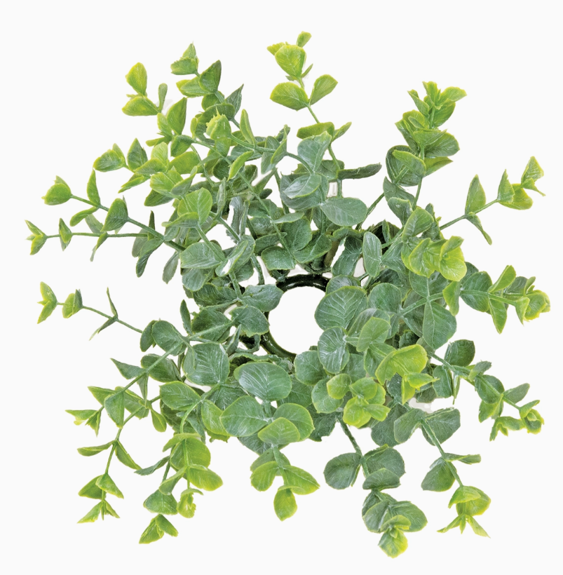 Baby Eucalyptus Candle Ring - 1"