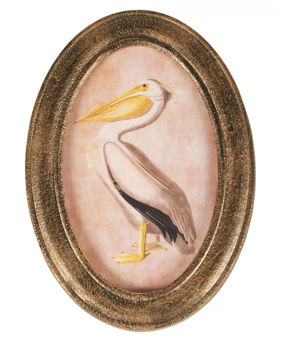 Pelican Framed Art