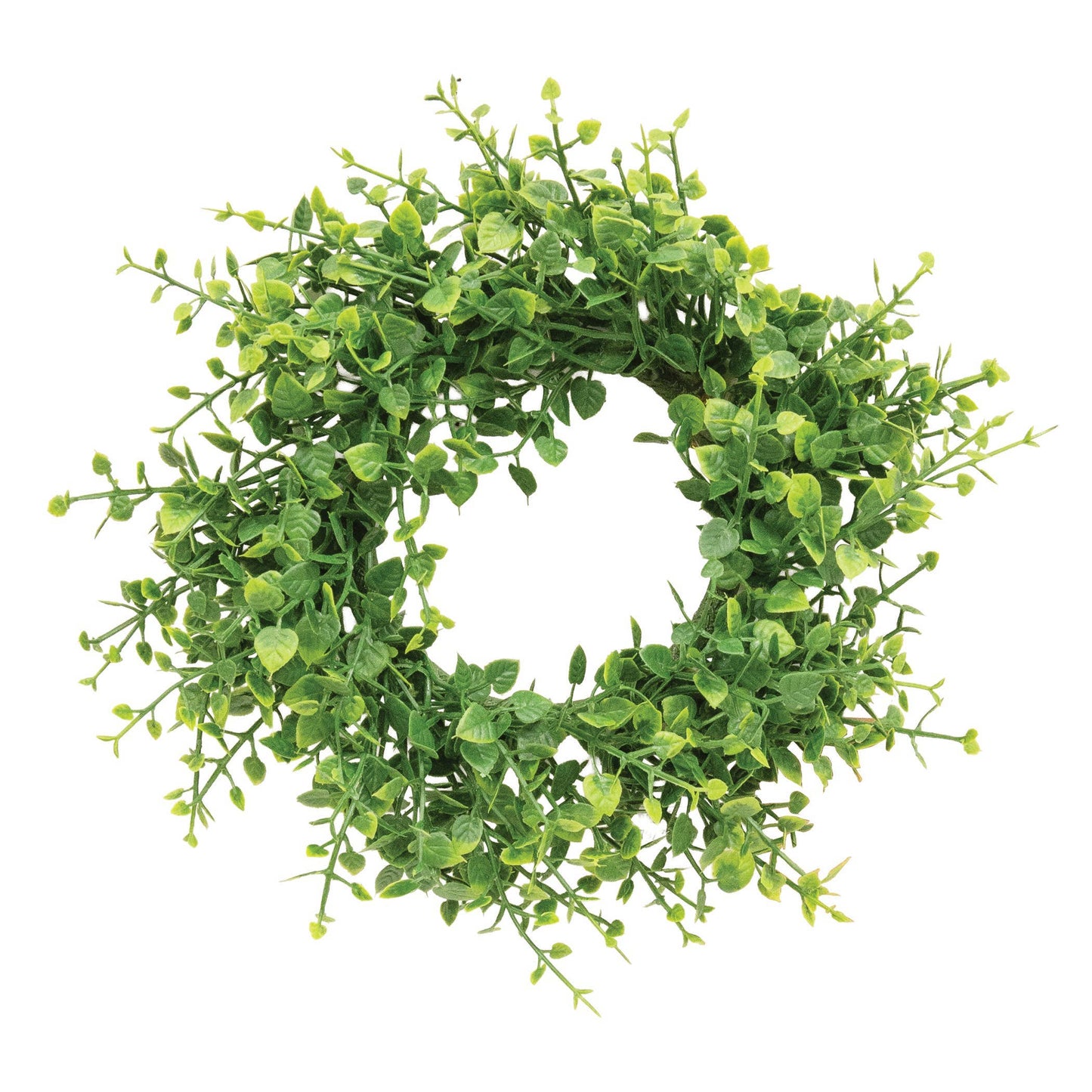 Verdant Baby Eucalyptus Candle Ring - 3.25"