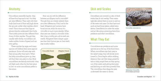 Reptiles for Kids Book