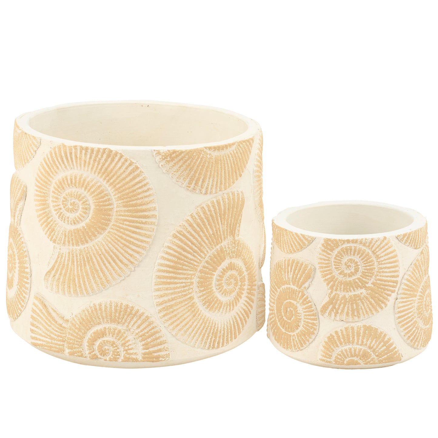 Nautilus Seashell Planter - 2 Sizes