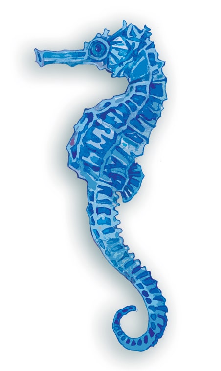 Seahorse Signature Sign Icon - Custom Decor