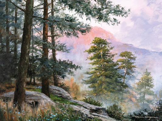 Western Sky 550 piece Jigsaw Puzzle