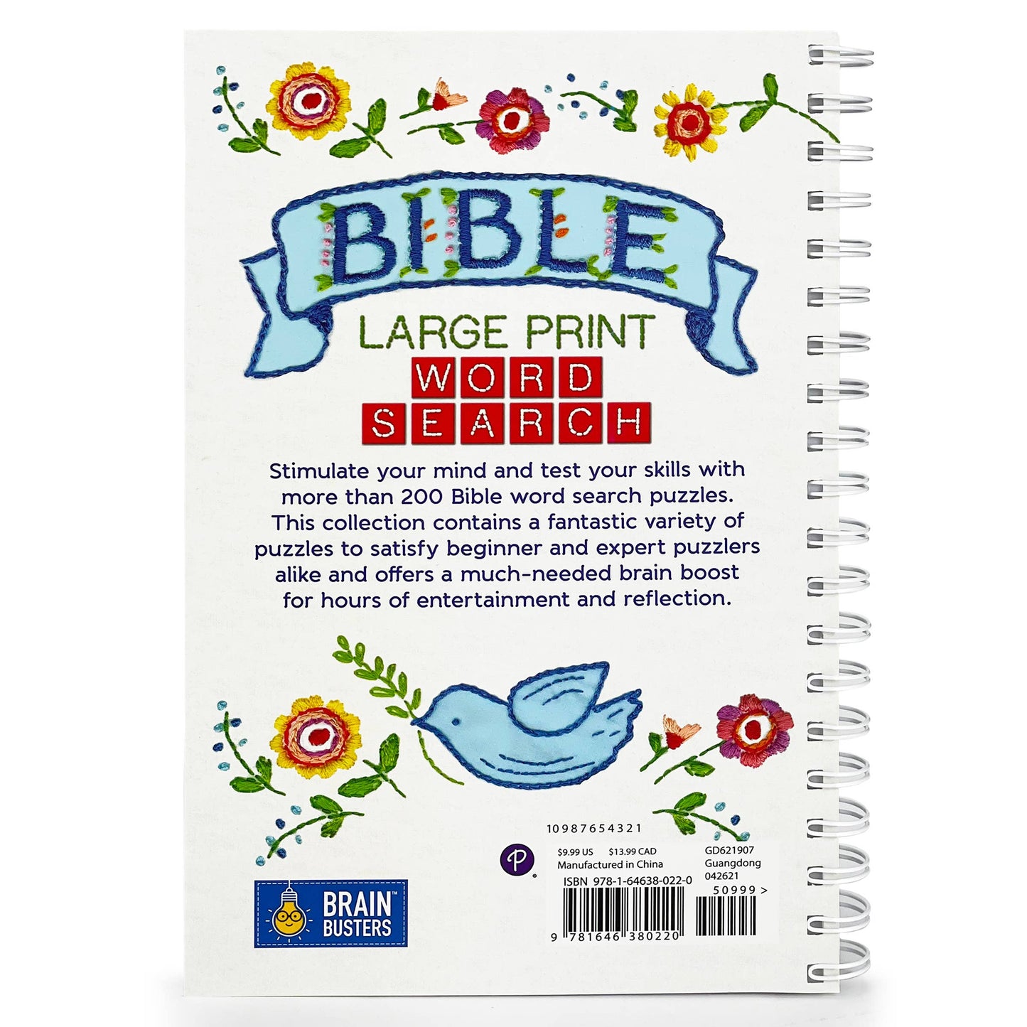 Bible Large Print Word Search - Adult Puzzle Book