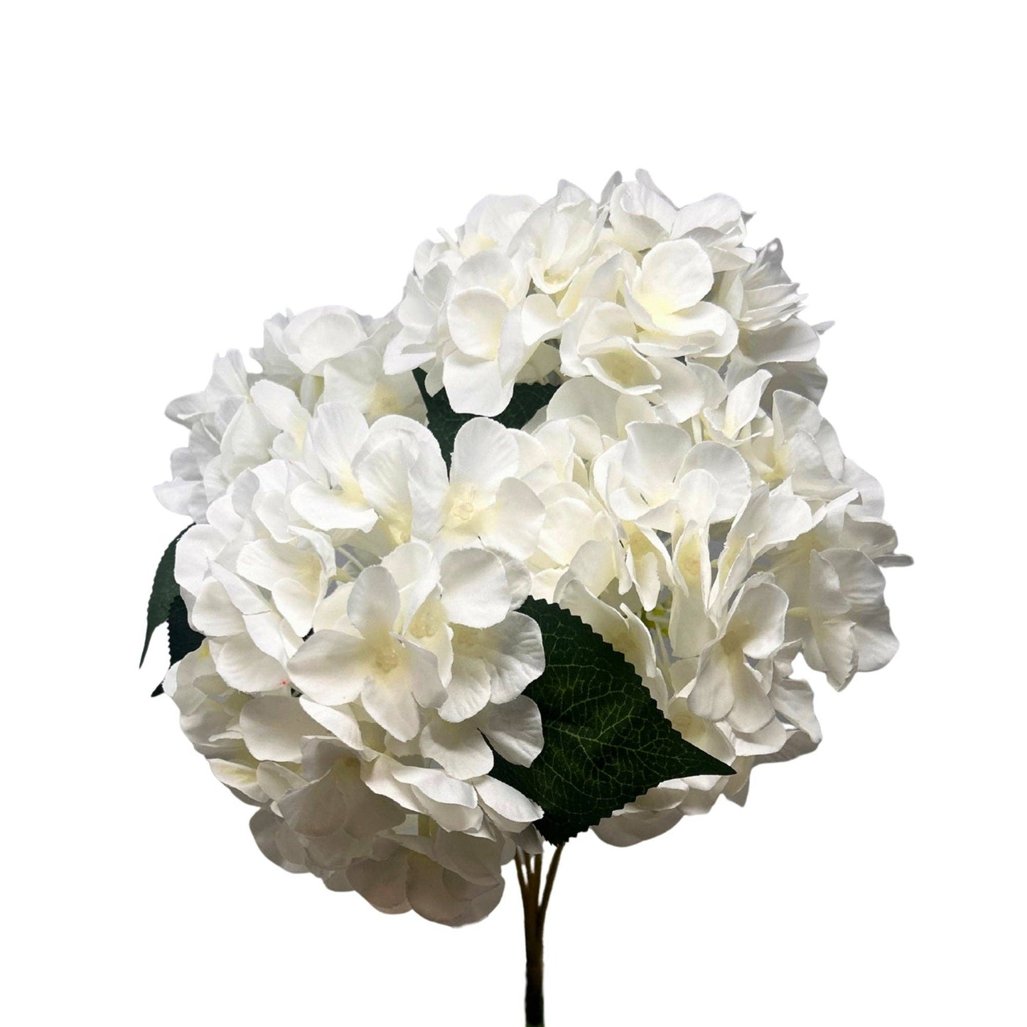 English Garden Hydrangea Bush - 17" Cream