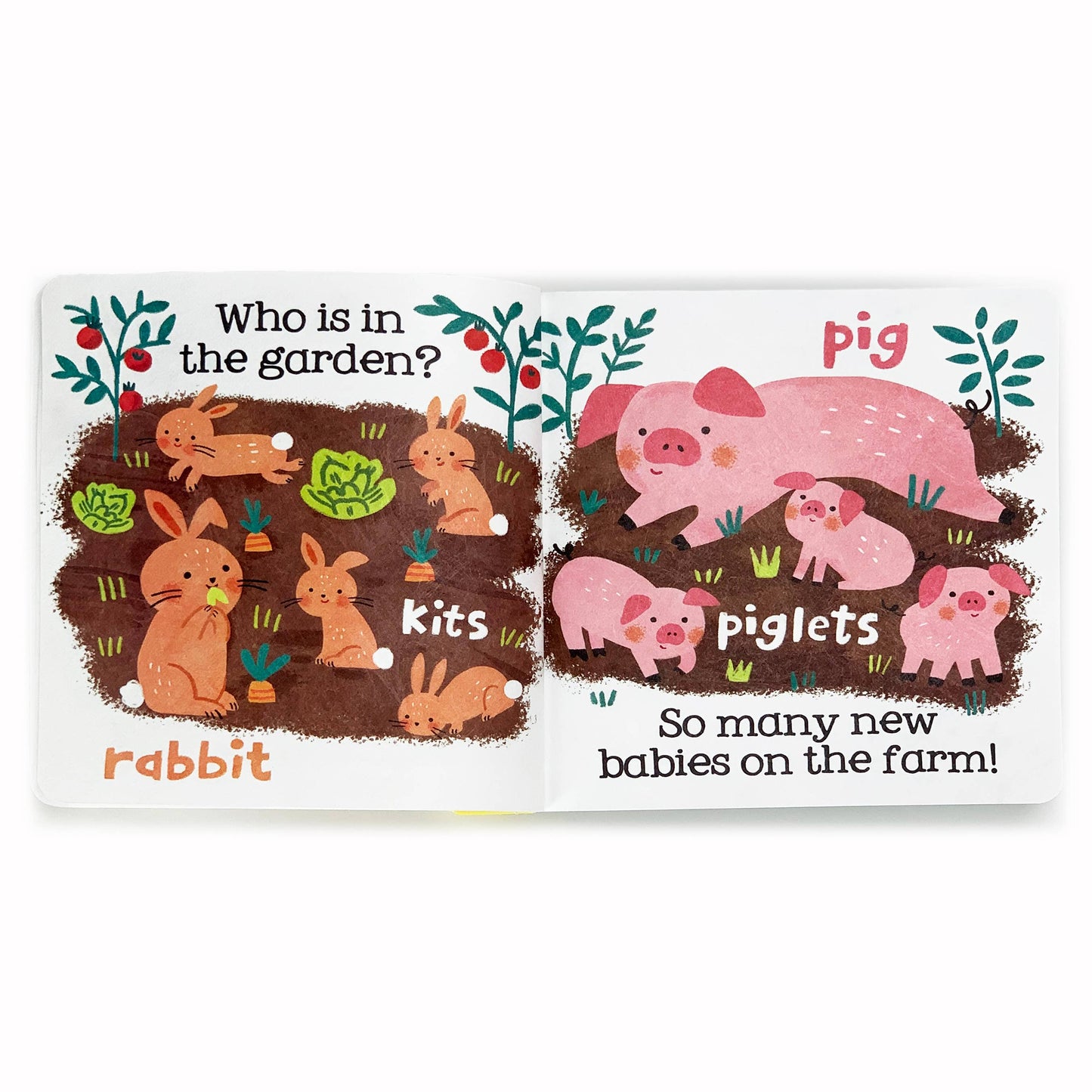 Farm Babies - Tuffy Teether Indestructible Book