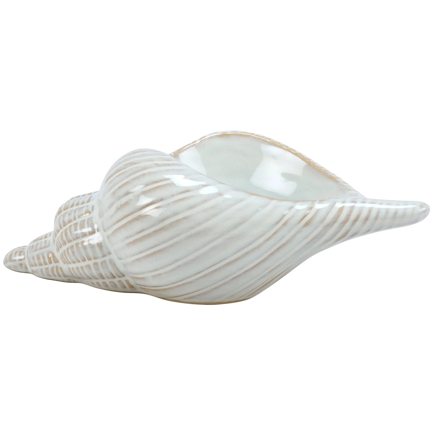 Conch Shell Tabletop Decor