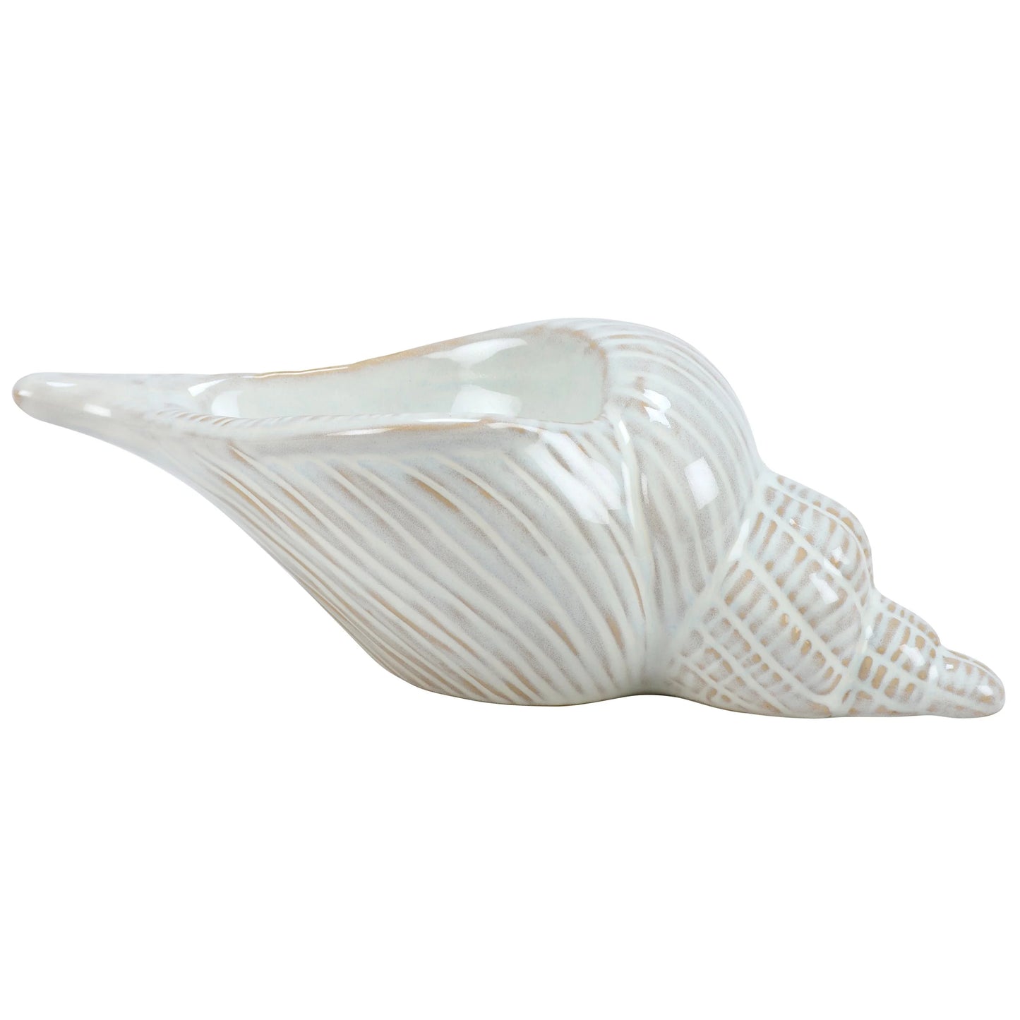 Conch Shell Tabletop Decor