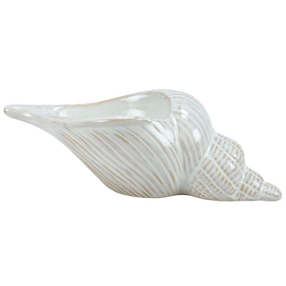 Conch Shell Tabletop Decor