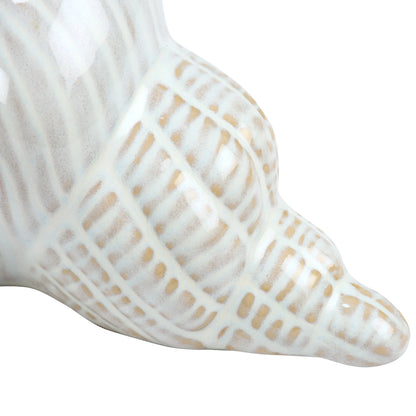 Conch Shell Tabletop Decor