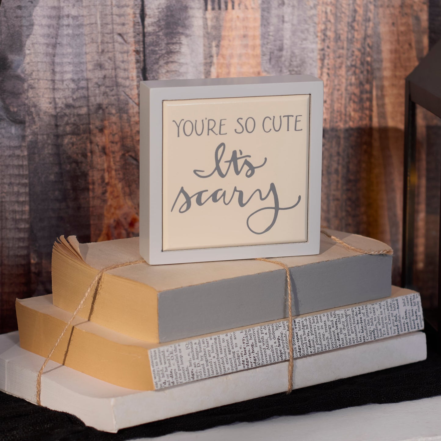 You're So Cute It's Scary Mini Box Sign