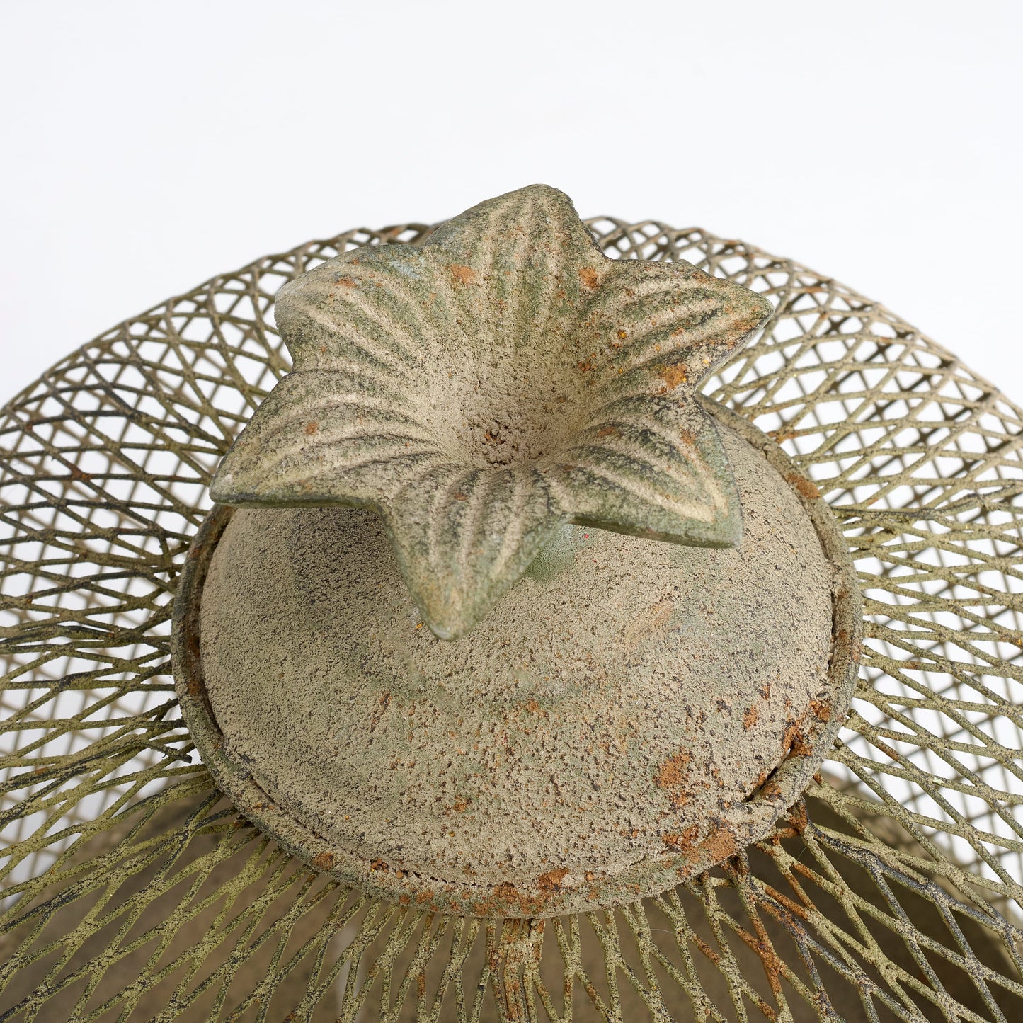 Garden Mesh Cloche - 2 Sizes