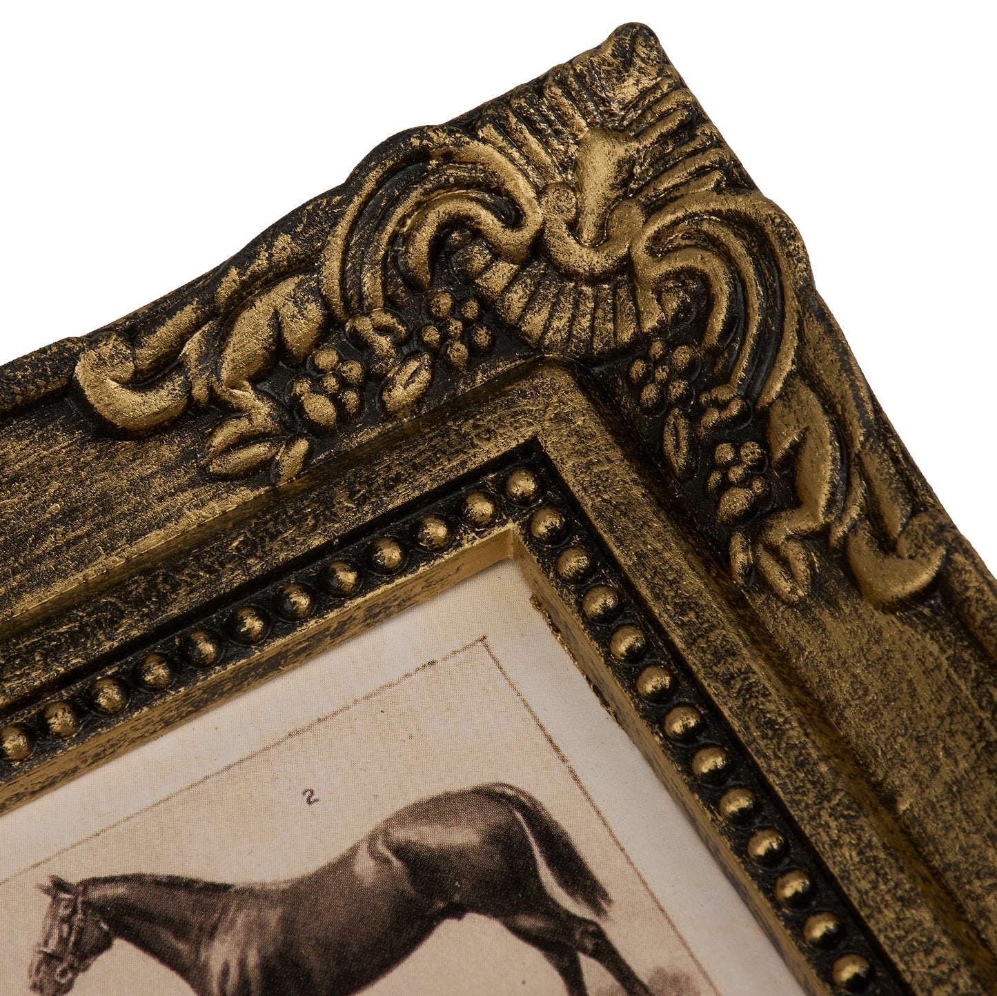 Horse Breeds Framed Art