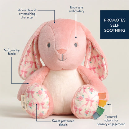 Itzy Ritzy Sweetie Snuggles Plush Friends