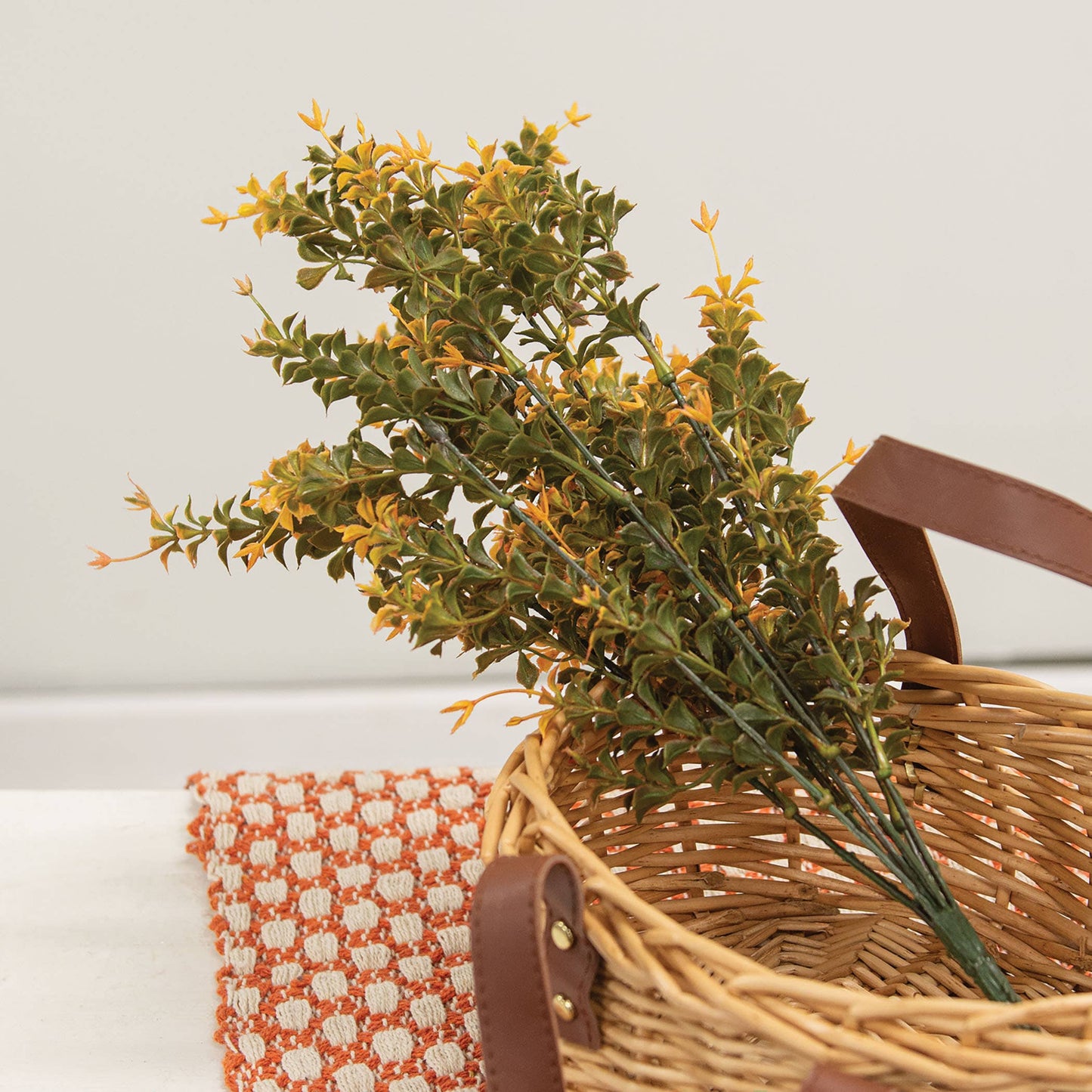 Golden Trumpet Bush - 19"