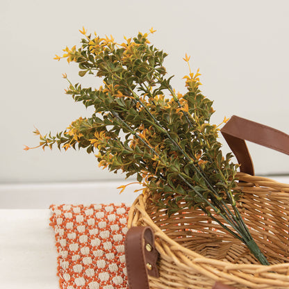 Golden Trumpet Bush - 19"