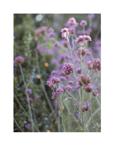 Garden Maker Flower and Gardening Book - Hardcover