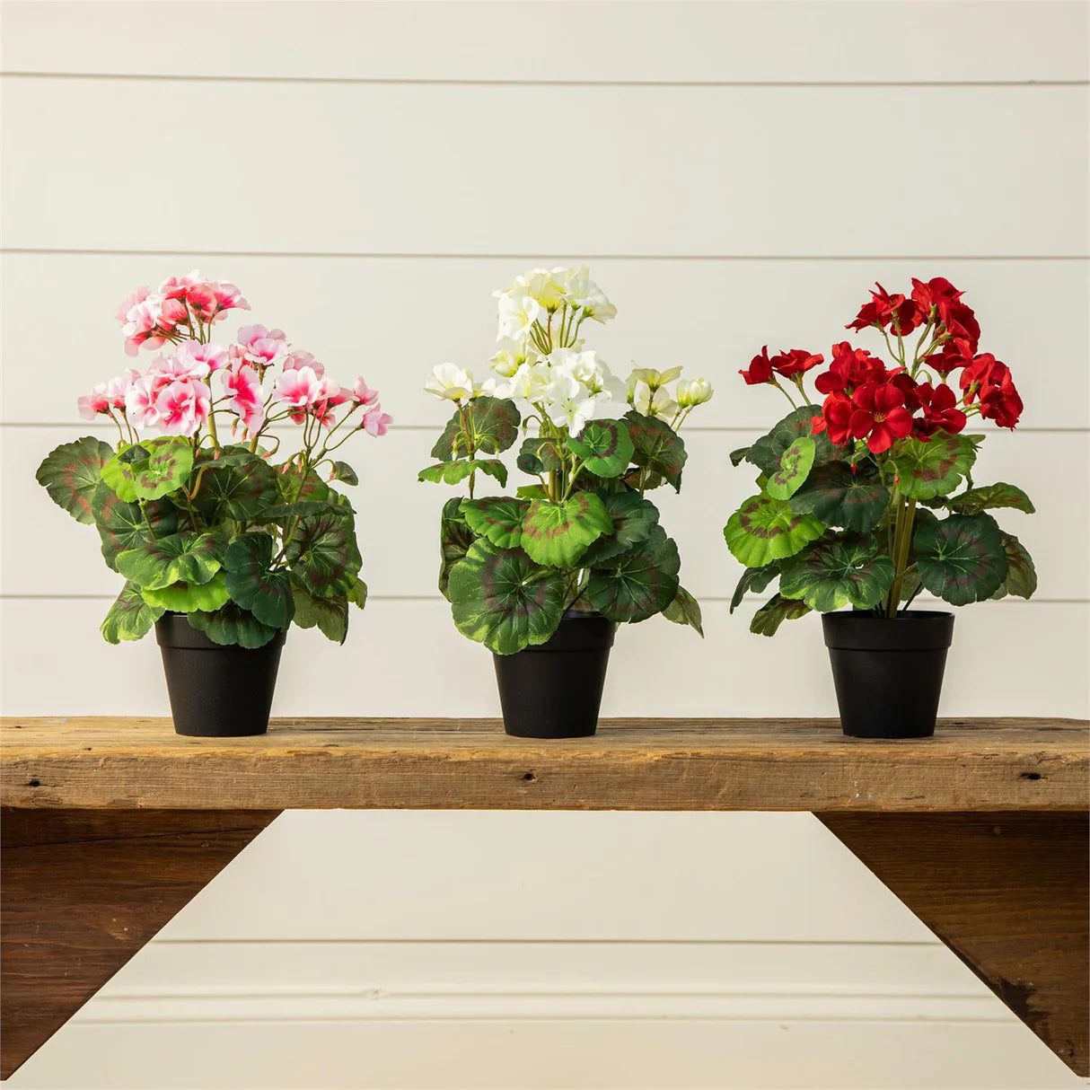 Potted Faux Geranium - 3 Color Options