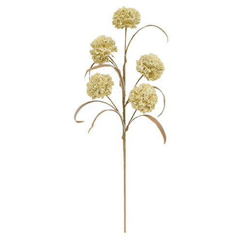 Cream Allium Bush - 24"