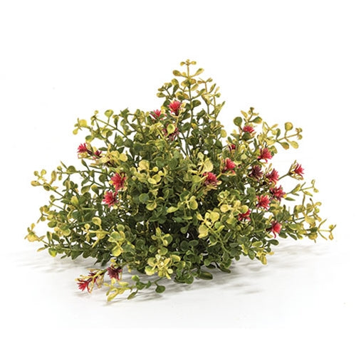 Ruby Buds & Baby Grass Half Sphere