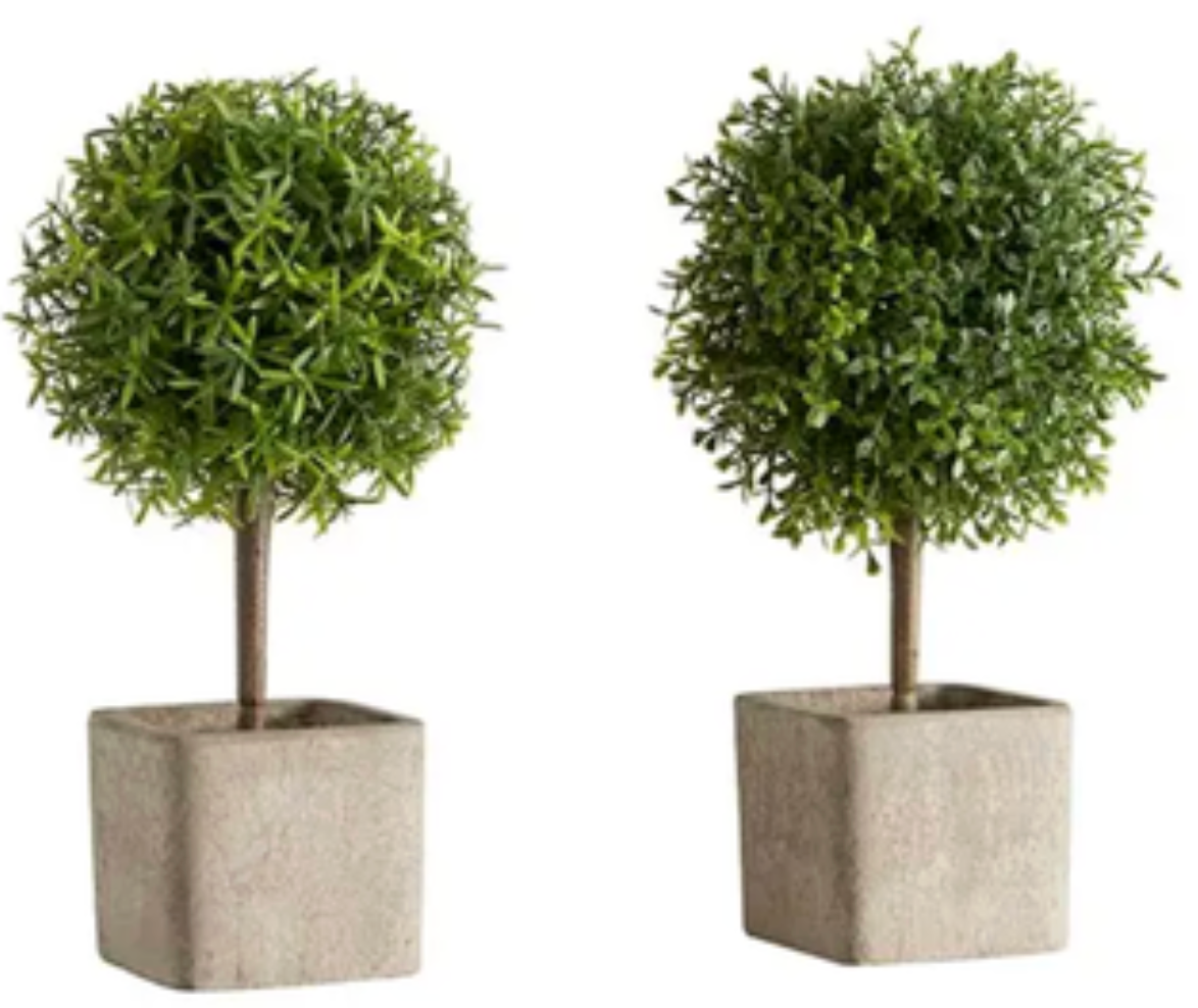 Topiary Ball in Planter