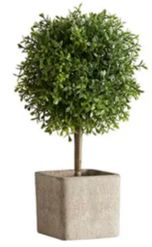 Topiary Ball in Planter