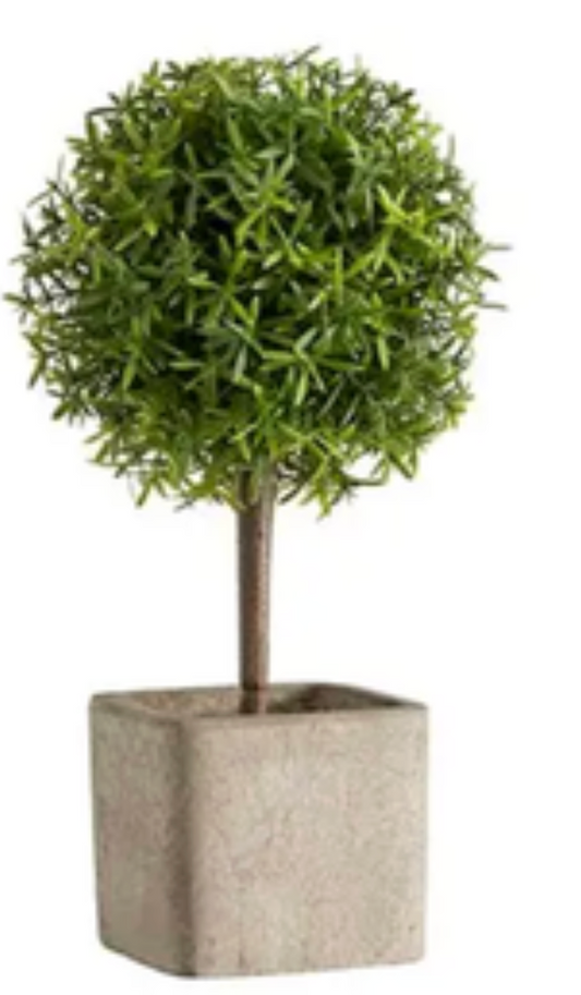 Topiary Ball in Planter