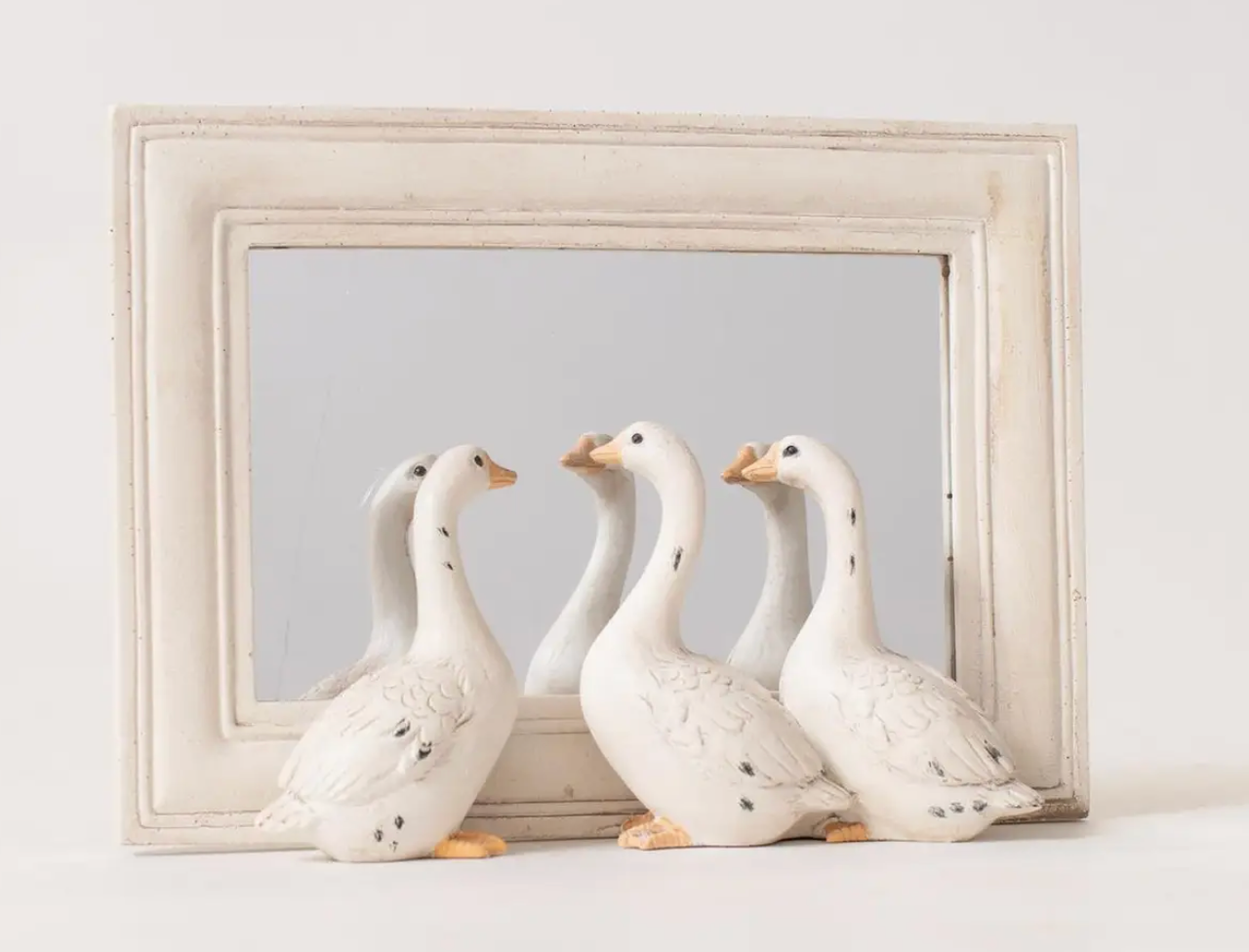 We're So Pretty - Geese Peeking Mirror