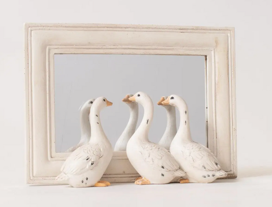 We're So Pretty - Geese Peeking Mirror
