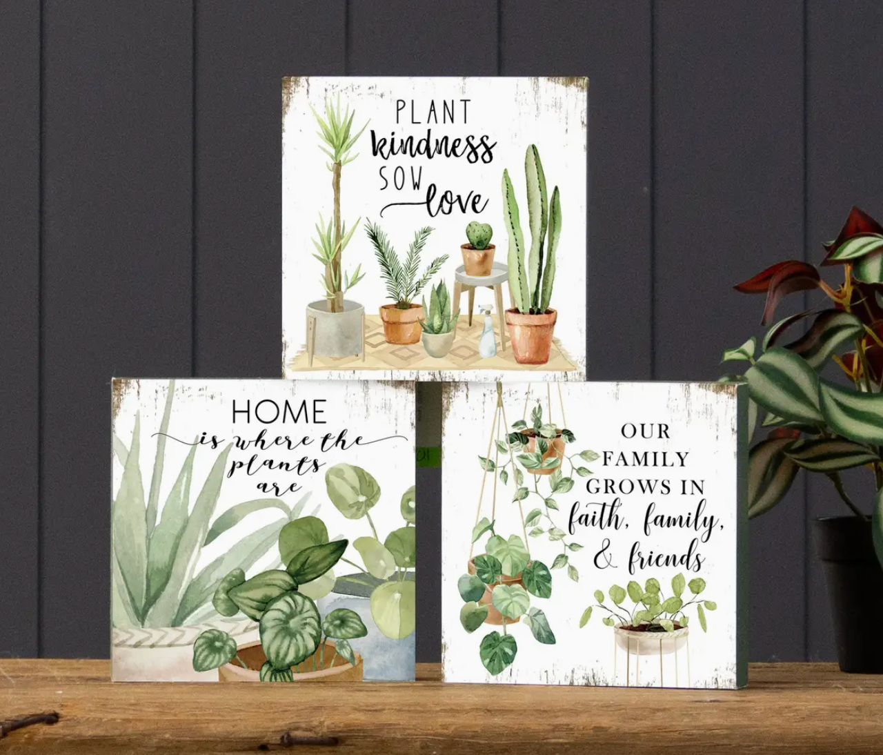 Plant Sayings Block Sign - 3 Designs