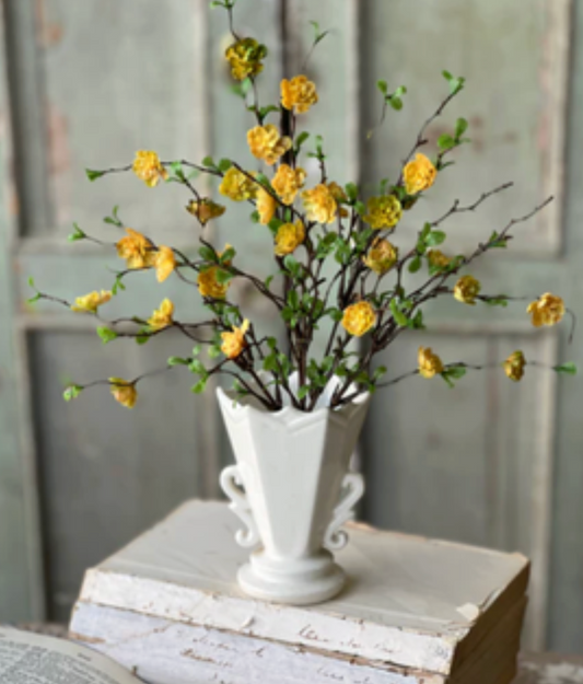 Yellow Quince Bush - 13.5"