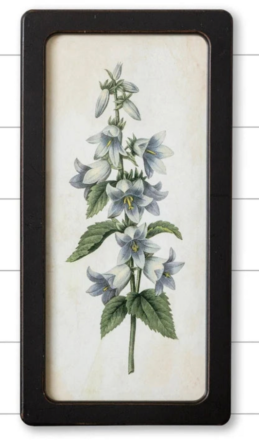 Bluebells And Forget-Me-Nots Framed Prints - 2 Options