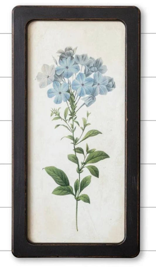 Bluebells And Forget-Me-Nots Framed Prints - 2 Options