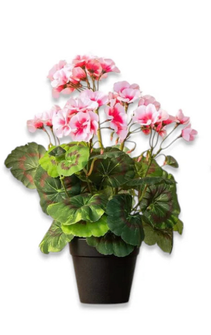 Potted Faux Geranium - 3 Color Options