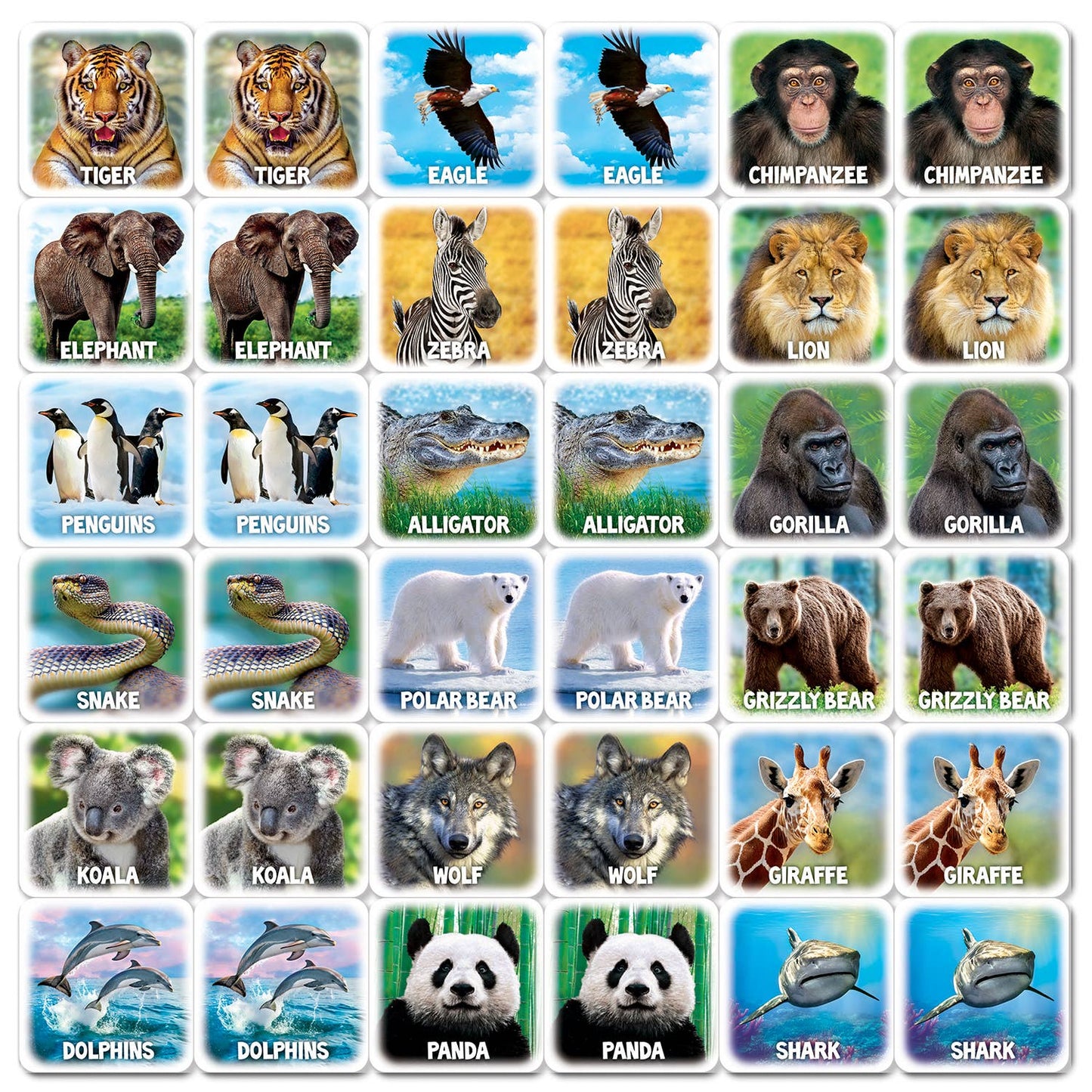 World of Animals Matching Game for Children