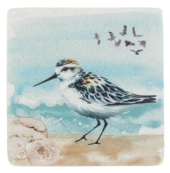 Shorebirds Coaster Set of 4