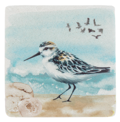 Shorebirds Coaster Set of 4