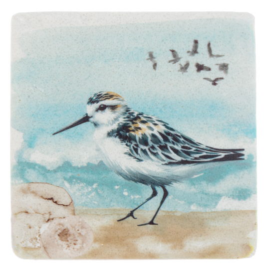 Shorebirds Coaster Set of 4