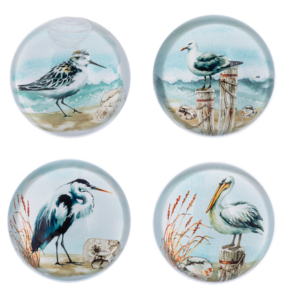 Shorebirds Paperweight - 4 Style Options
