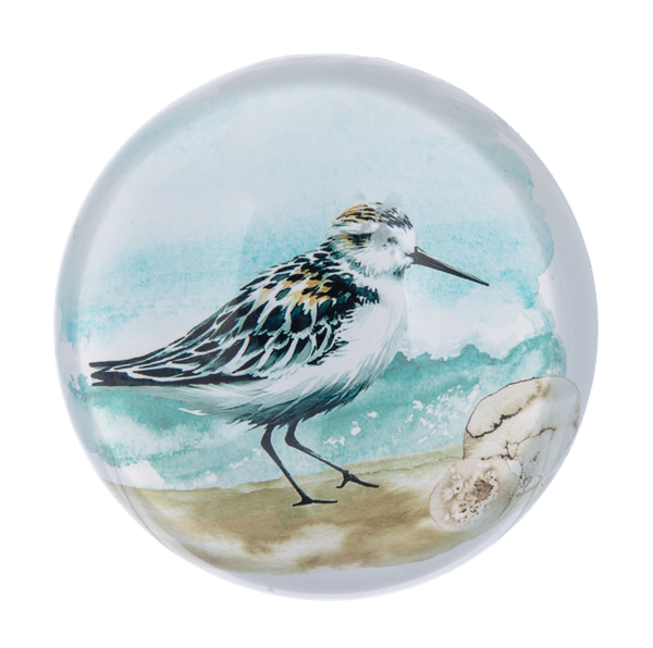 Shorebirds Paperweight - 4 Style Options