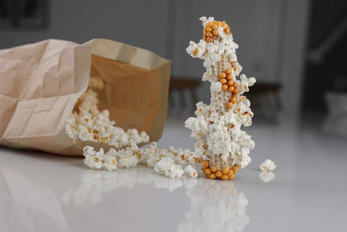 Yellow Popcorn Microwave Cob - Amish Country Popcorn