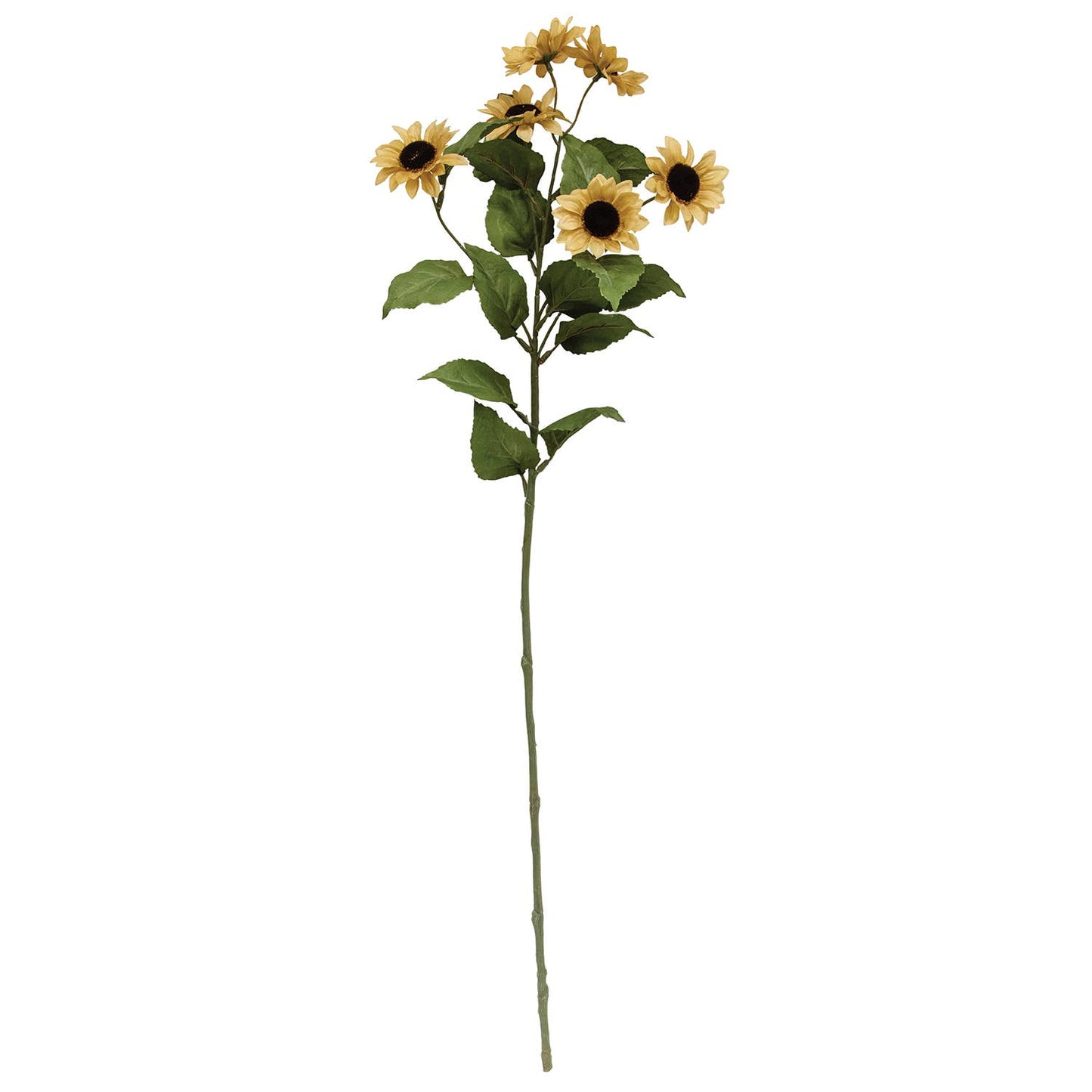 Teastain Mini Sunflower Spray, 30"