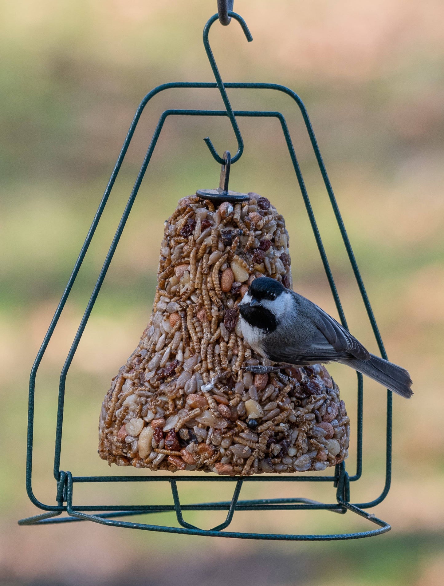 Mr. Bird Bugs, Nuts & Fruit Birdseed Bell