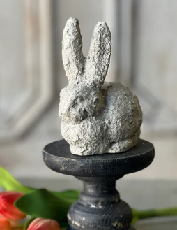 Textured Baby Rabbit