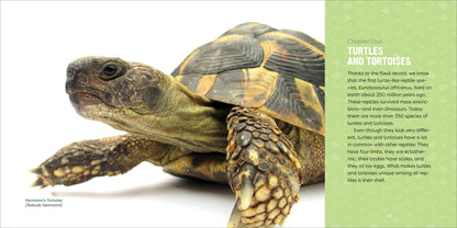 Reptiles for Kids Book